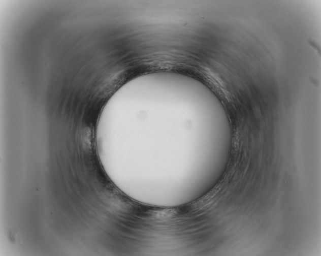 X0000091590122200708201001