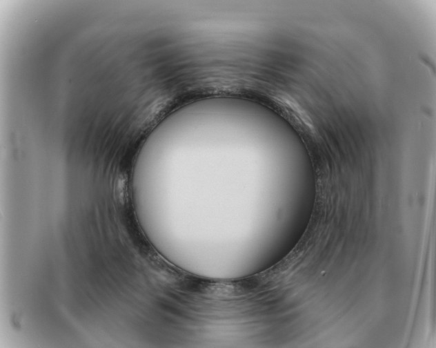 X0000091590123200708201001