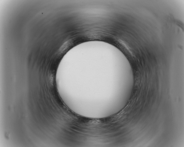 X0000091590124200708201001