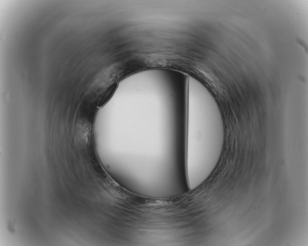 X0000091590125200708201001