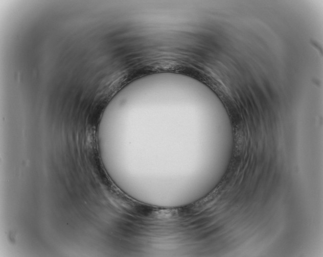 X0000091590126200708201000