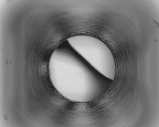 X0000091590127200708201000