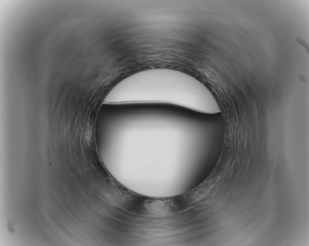 X0000091590129200708201000