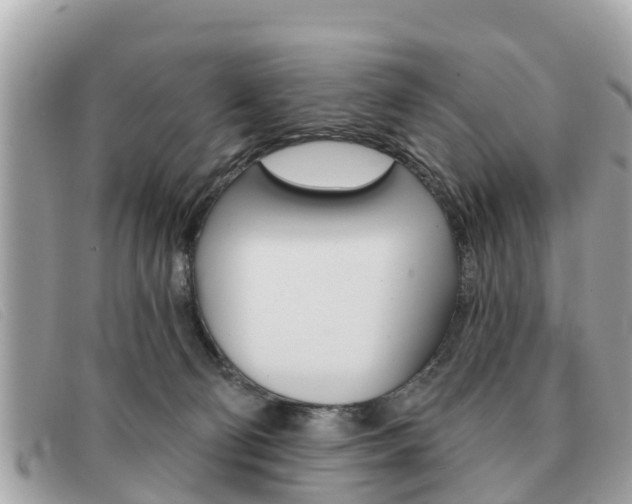 X0000091590130200708201000