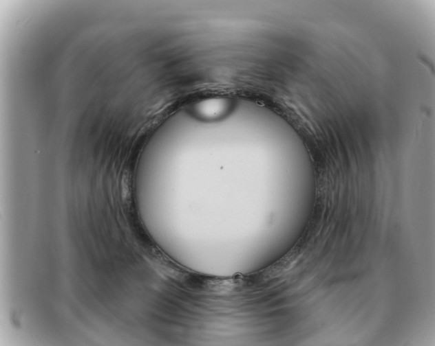 X0000091590131200708201000
