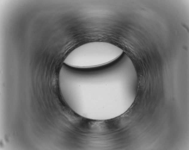 X0000091590132200708201000