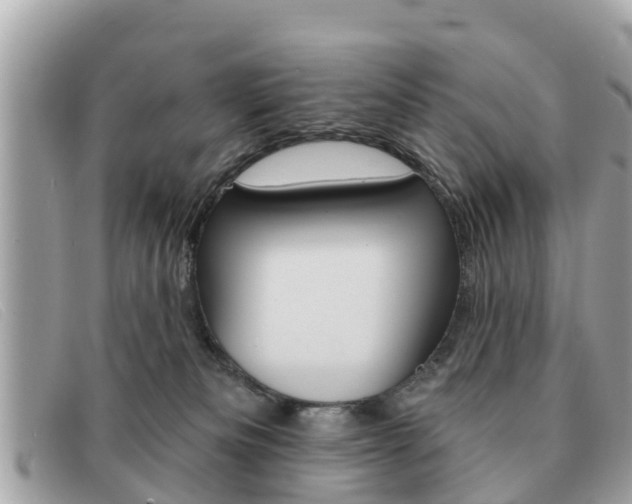 X0000091590133200708201000