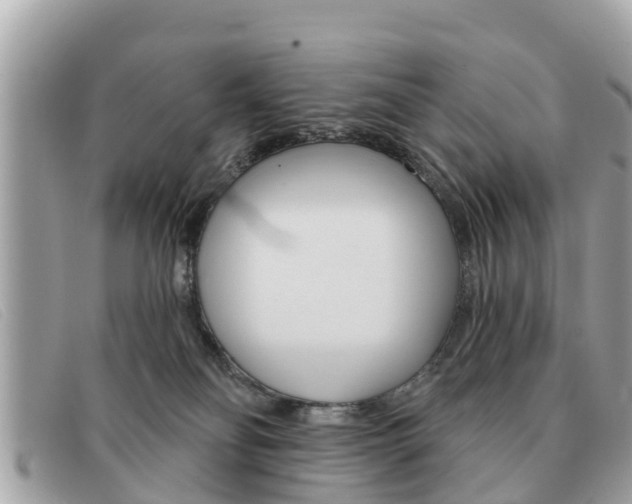 X0000091590134200708201000
