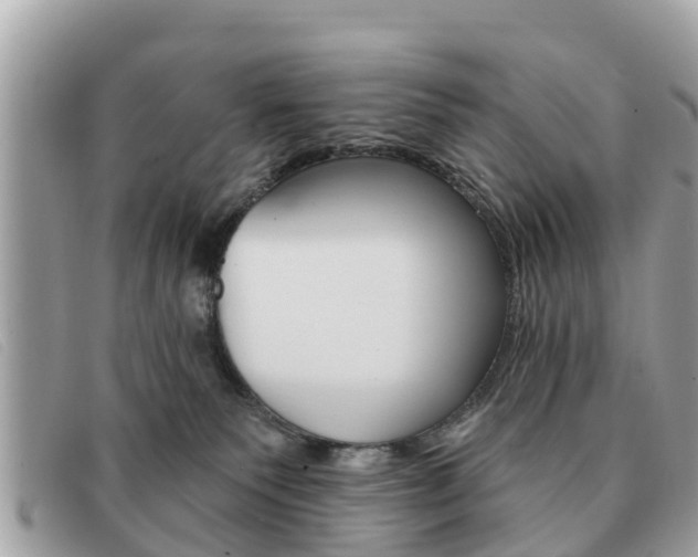X0000091590135200708201000
