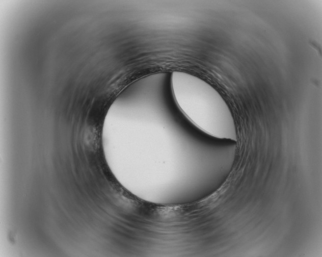 X0000091590136200708201000
