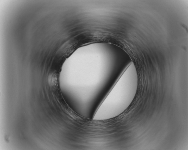 X0000091590137200708201000