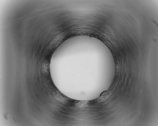 X0000091590138200708201000