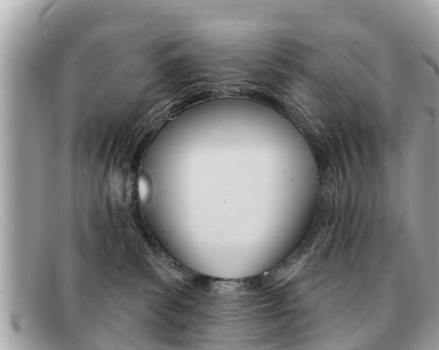X0000091590139200708201000