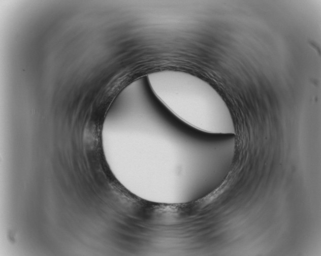 X0000091590140200708201000