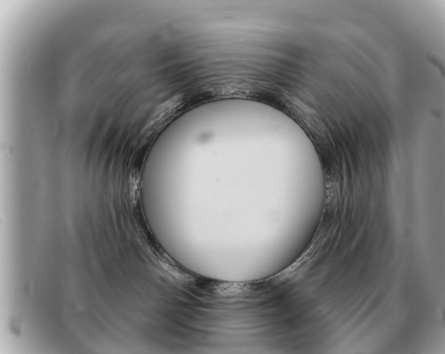 X0000091590142200708201000