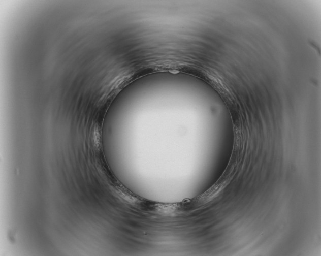 X0000091590143200708201000