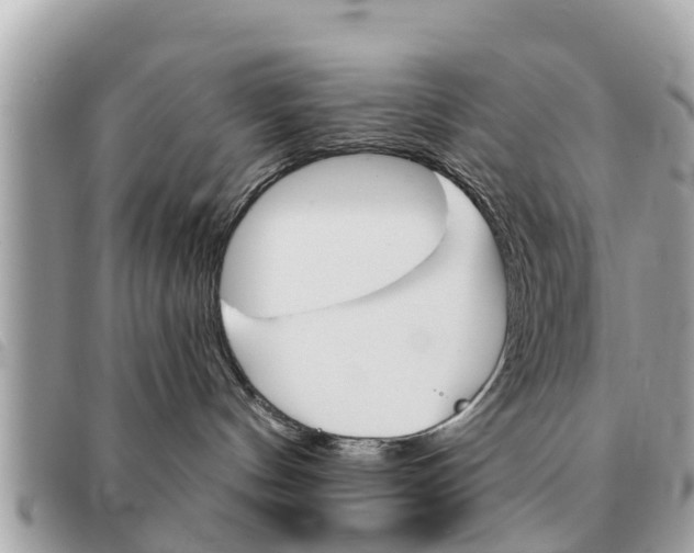 X0000091590144200708201000