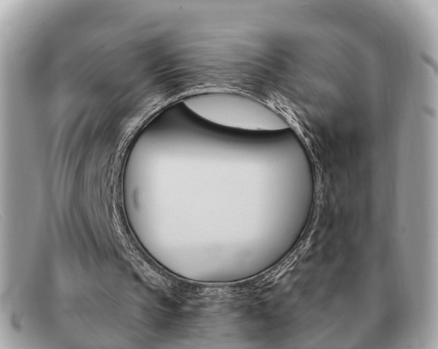 X0000091590145200708201000