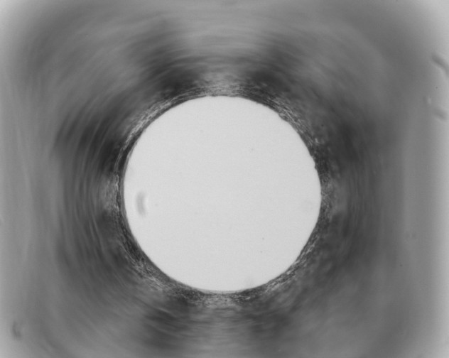 X0000091590146200708201000
