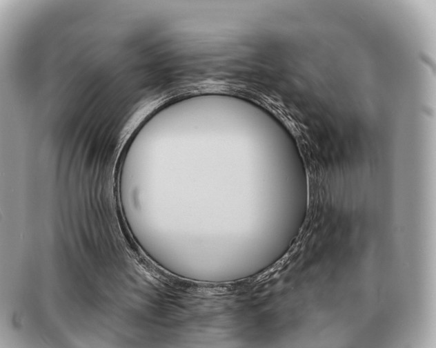 X0000091590147200708201000