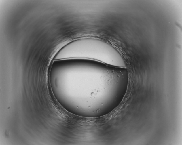 X0000091590148200708201000