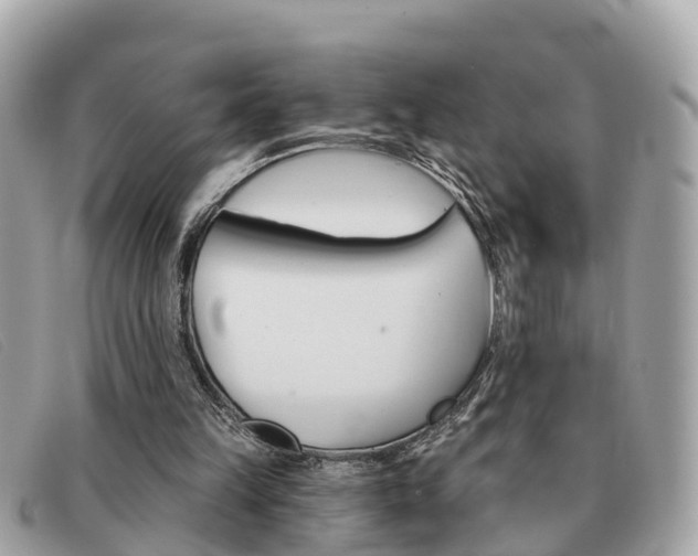 X0000091590149200708201000