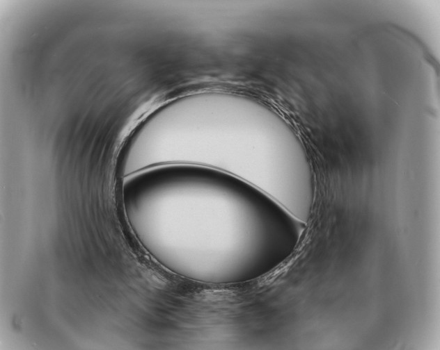 X0000091590150200708201000