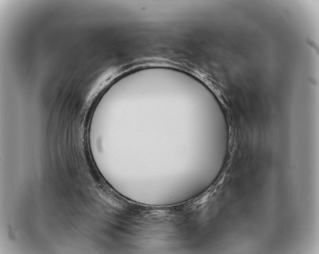 X0000091590151200708201000
