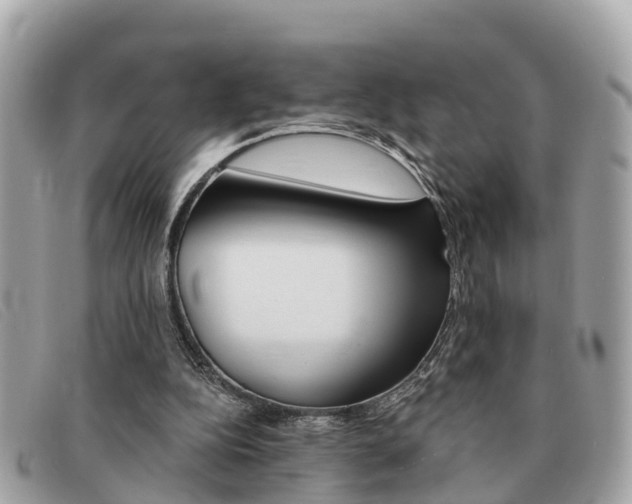 X0000091590152200708201000