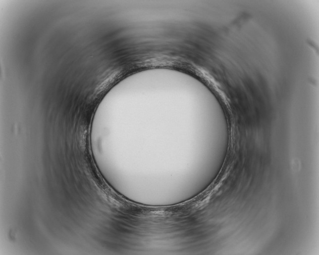 X0000091590153200708201000