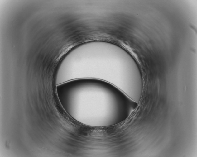 X0000091590154200708201000