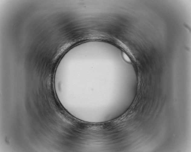 X0000091590155200708201000
