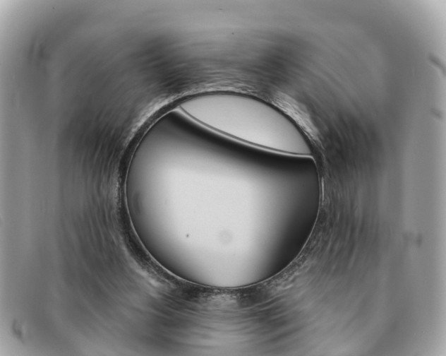 X0000091590156200708201000