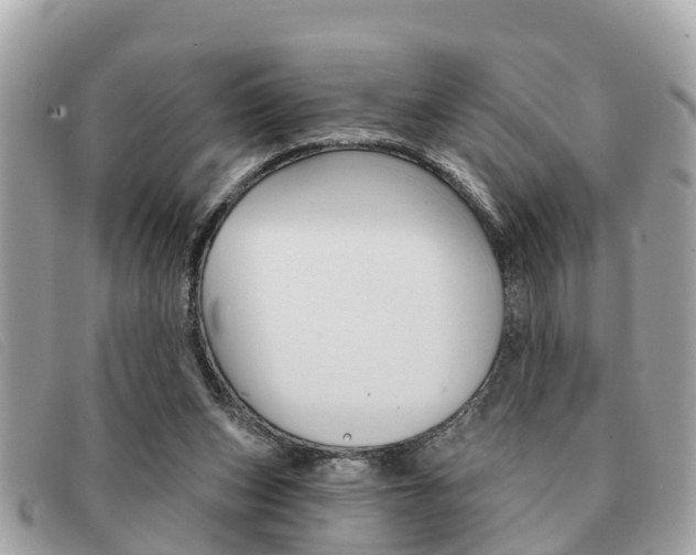 X0000091590159200708201000