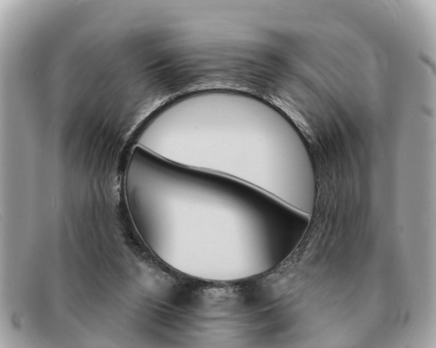X0000091590160200708201000
