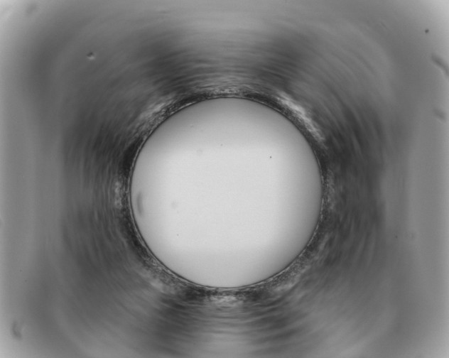 X0000091590161200708201000