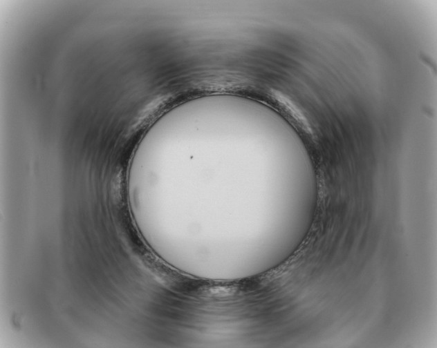 X0000091590163200708201000