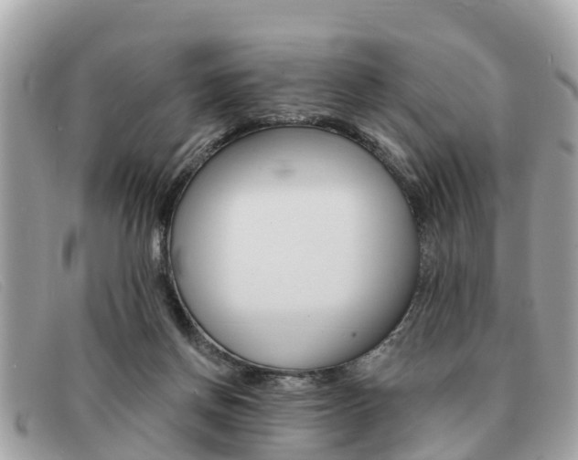 X0000091590166200708201000