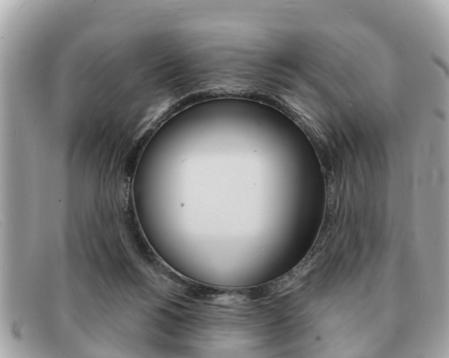 X0000091590168200708201000