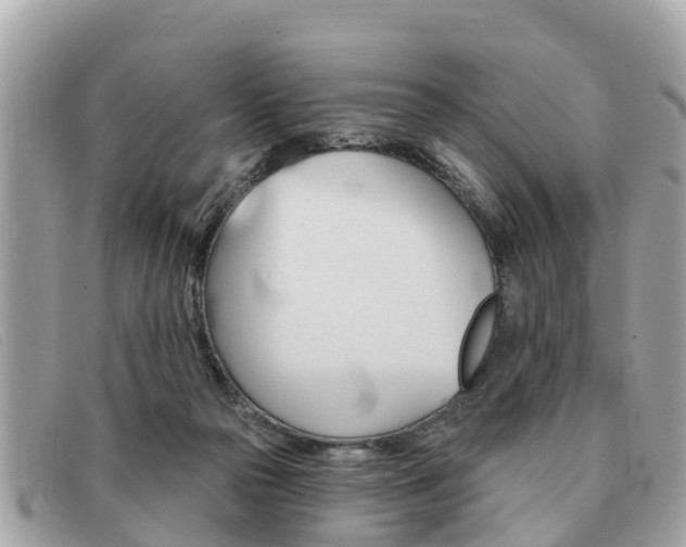 X0000091590169200708201000