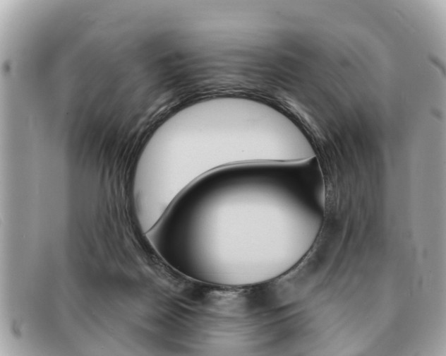 X0000091590170200708201000