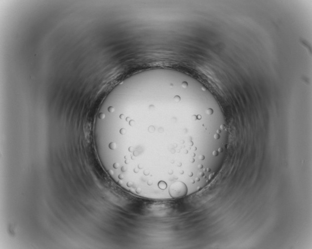 X0000091590171200708201000