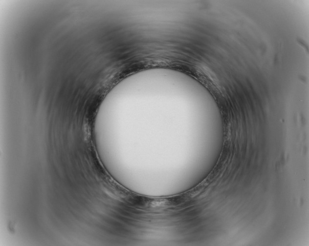 X0000091590173200708201000