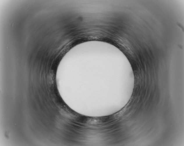 X0000091590174200708201000