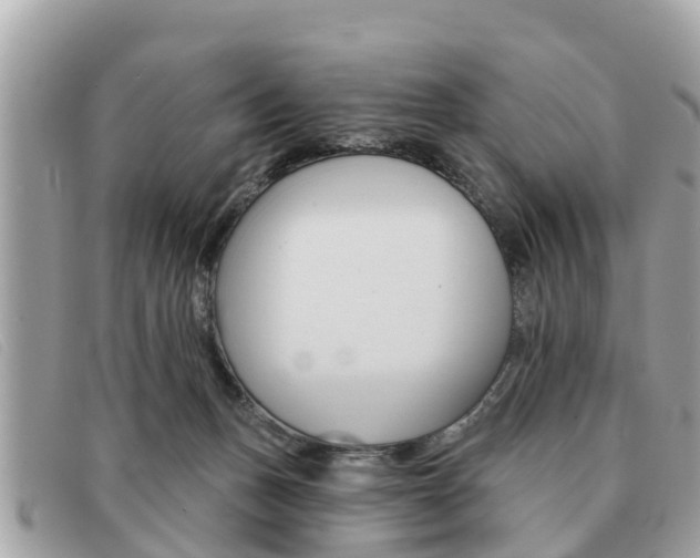 X0000091590175200708201000