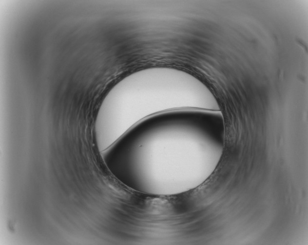 X0000091590180200708201000