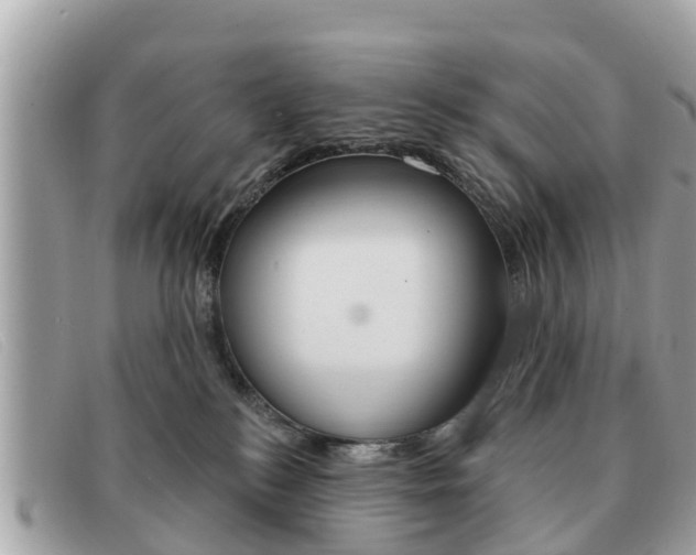 X0000091590184200708201000