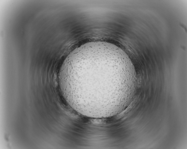 X0000091590187200708201000