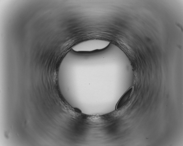 X0000091590189200708201000