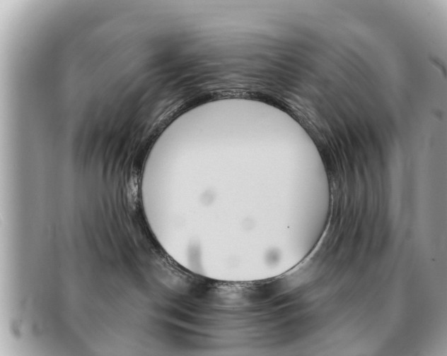 X0000091590190200708201000
